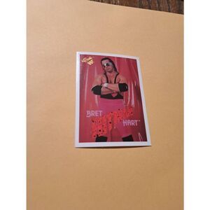 Vintage 1990 WWF Brett “Hitman” Hart Trading Card #95 Wrestling Titan Sports